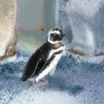 penguin